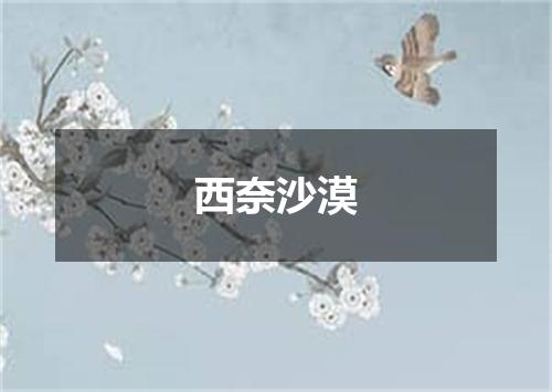 西奈沙漠
