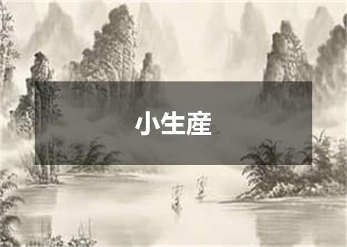 小生産