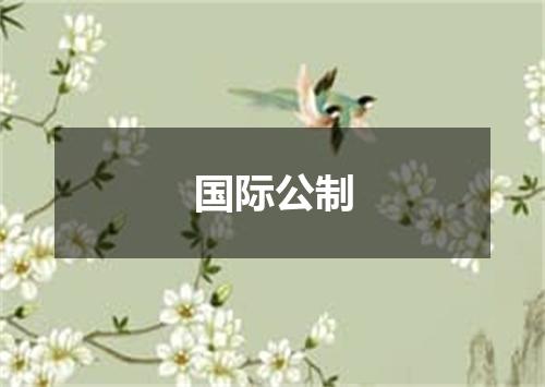 国际公制