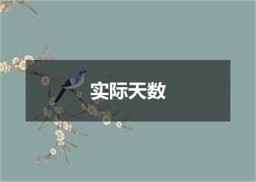 实际天数