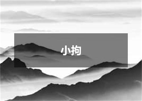 小拘