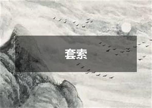 套索