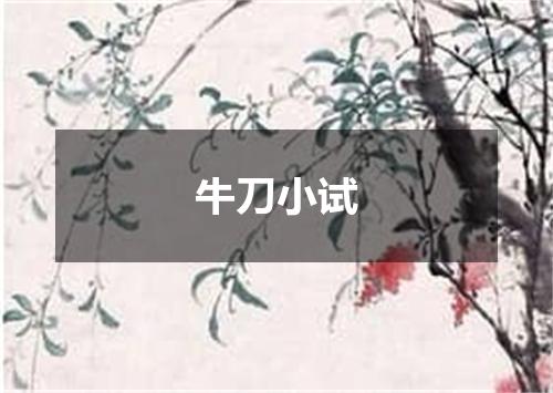 牛刀小试