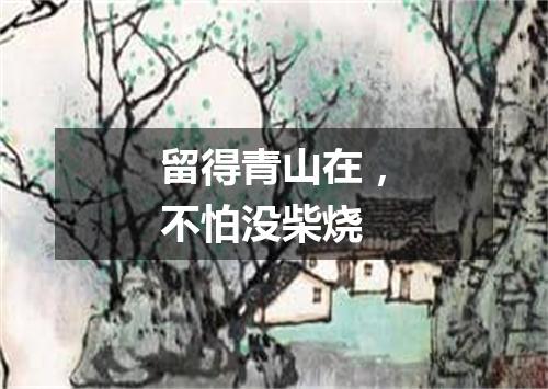 留得青山在，不怕没柴烧