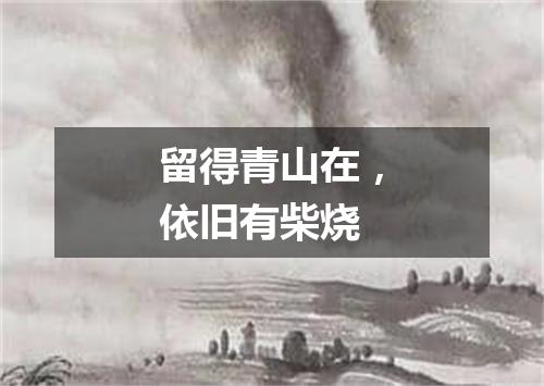 留得青山在，依旧有柴烧