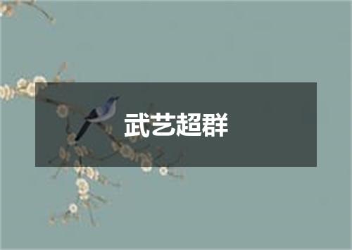 武艺超群