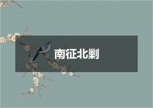 南征北剿