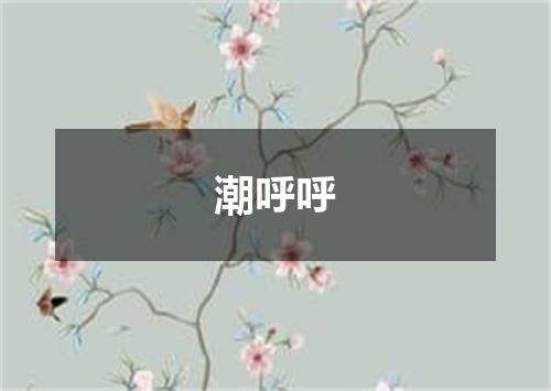 潮呼呼