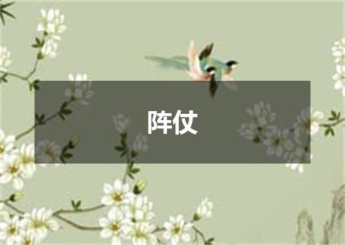 阵仗