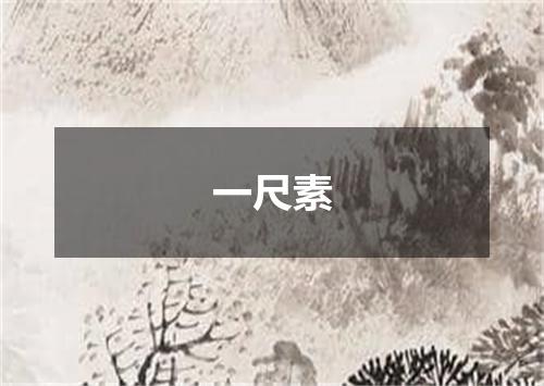 一尺素
