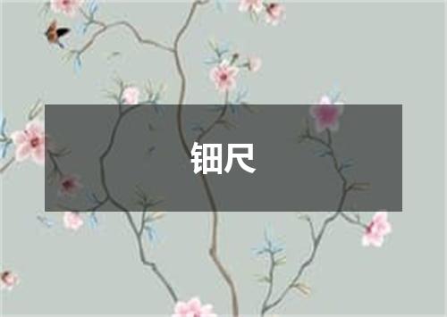 钿尺