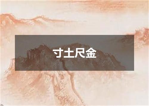寸土尺金