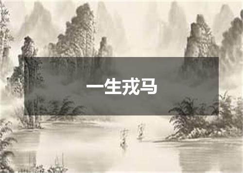 一生戎马