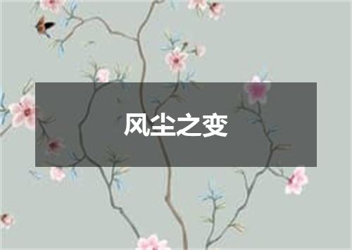 风尘之变