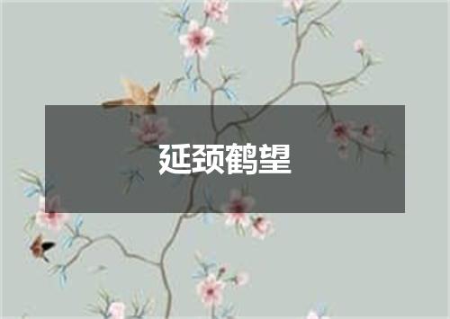 延颈鹤望