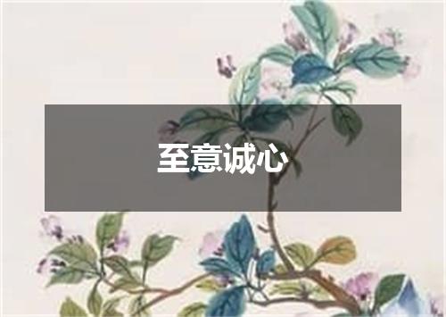 至意诚心