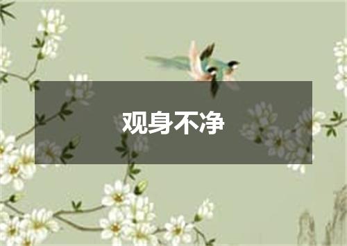 观身不净