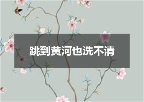 跳到黄河也洗不清