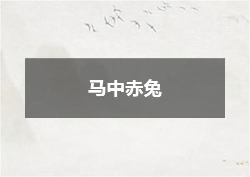 马中赤兔