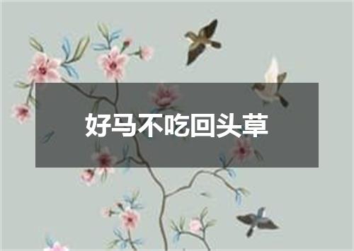好马不吃回头草
