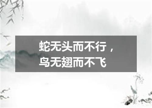 蛇无头而不行，鸟无翅而不飞