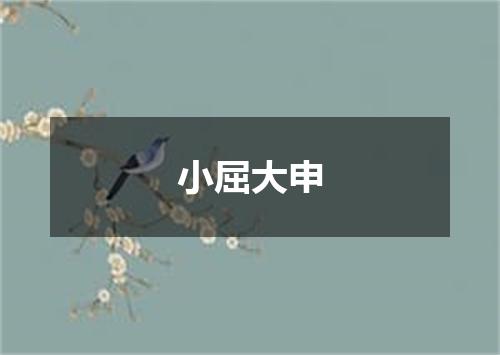 小屈大申