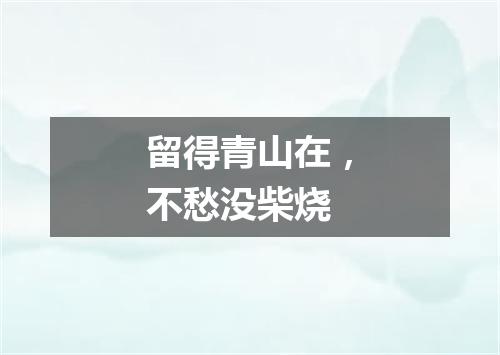 留得青山在，不愁没柴烧