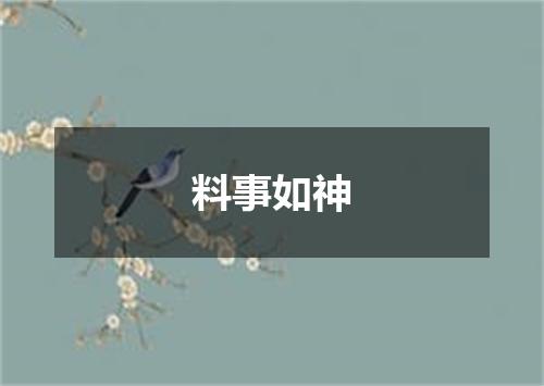 料事如神