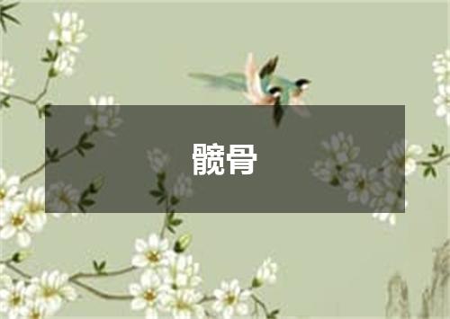 髋骨