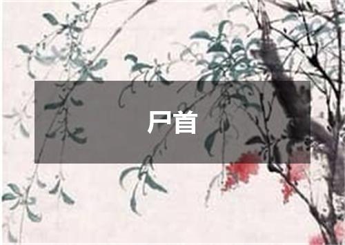 尸首