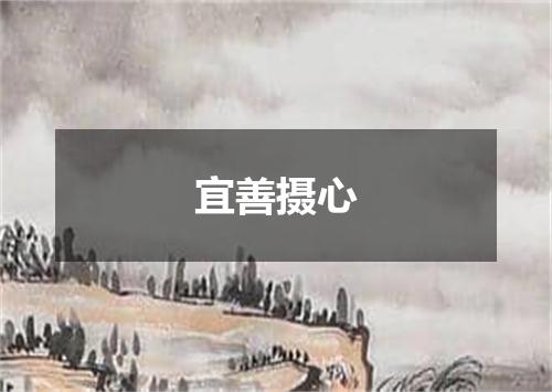 宜善摄心