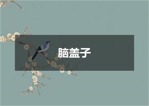 脑盖子