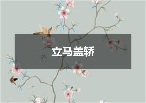 立马盖轿