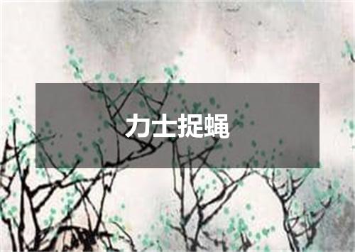 力士捉蝇