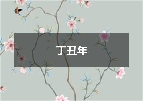 丁丑年
