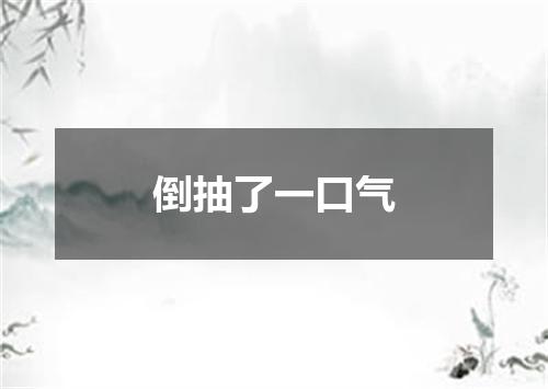 倒抽了一口气