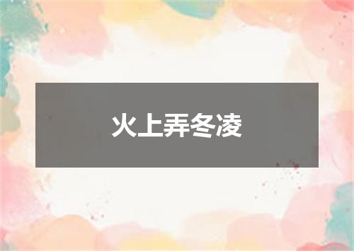火上弄冬凌
