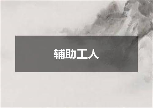 辅助工人