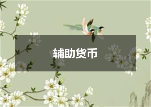 辅助货币