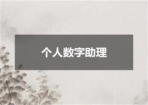 个人数字助理