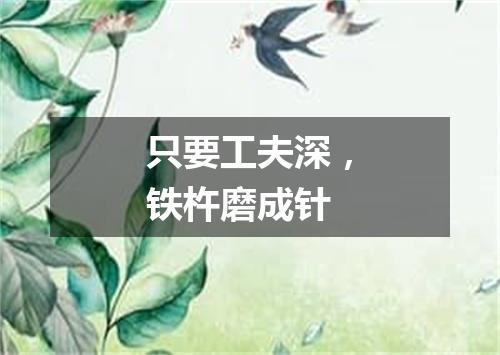 只要工夫深，铁杵磨成针
