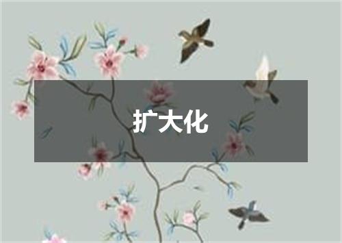 扩大化