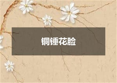 铜锤花脸