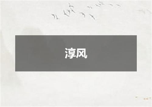 淳风