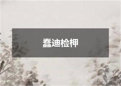 蠢迪检柙