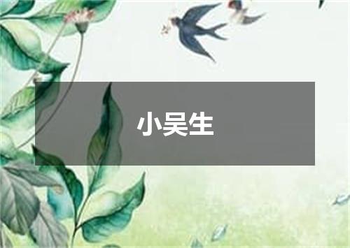 小吴生