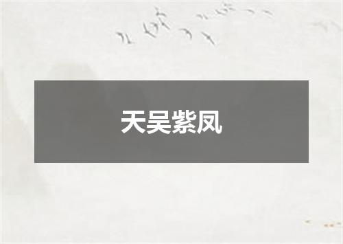 天吴紫凤