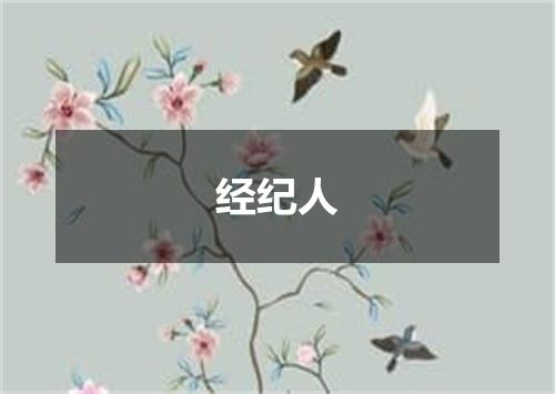 经纪人
