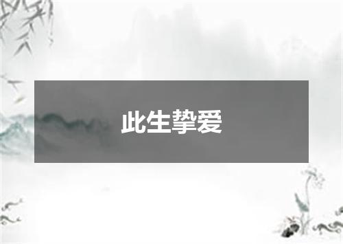 此生挚爱