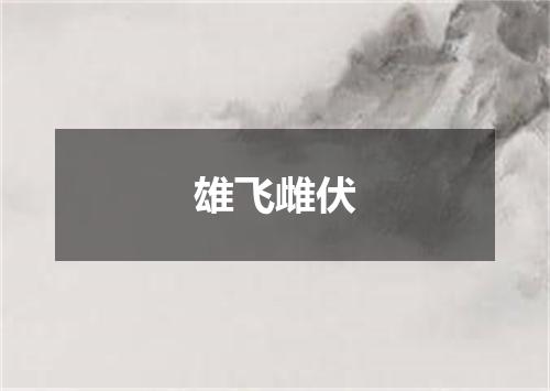 雄飞雌伏